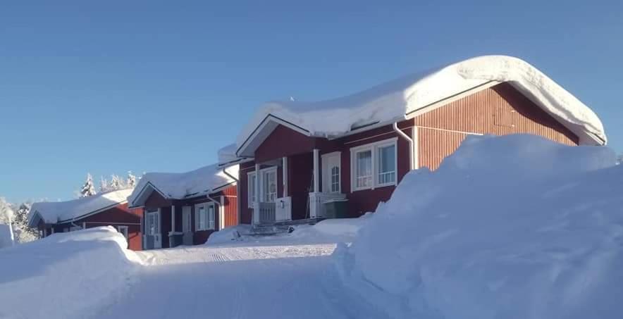 Lomamaja Pekonen Apartments Muonio Bagian luar foto